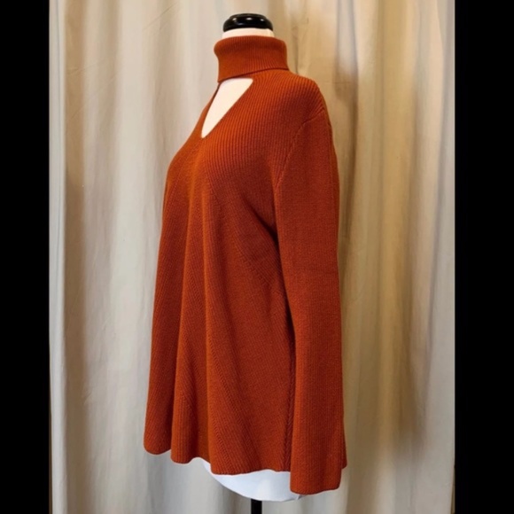 Chico's 3 sz 1X sz 14-16 Beautiful Rust colored Spicy Orange Sweater - Picture 5 of 7